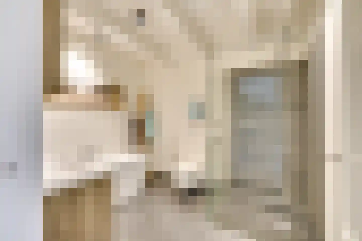 Zuiderstraat 16 Nieuwegein thumbnail 34