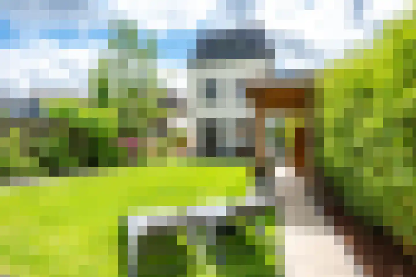 Zuiderstraat 16 Nieuwegein thumbnail 44