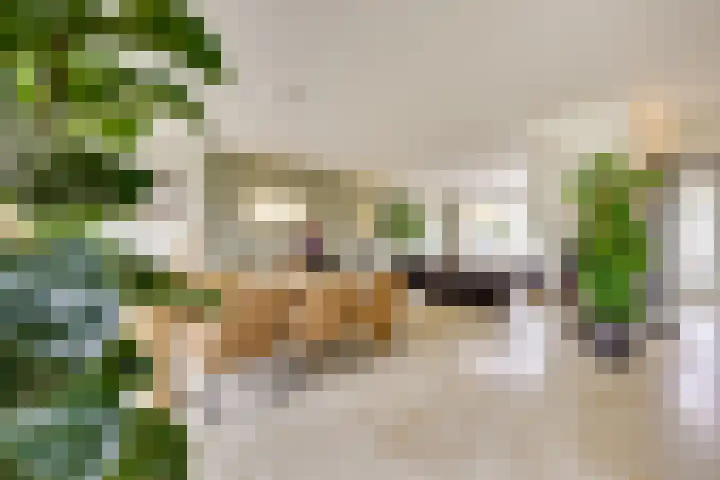 Zuiderstraat 16 Nieuwegein thumbnail 6