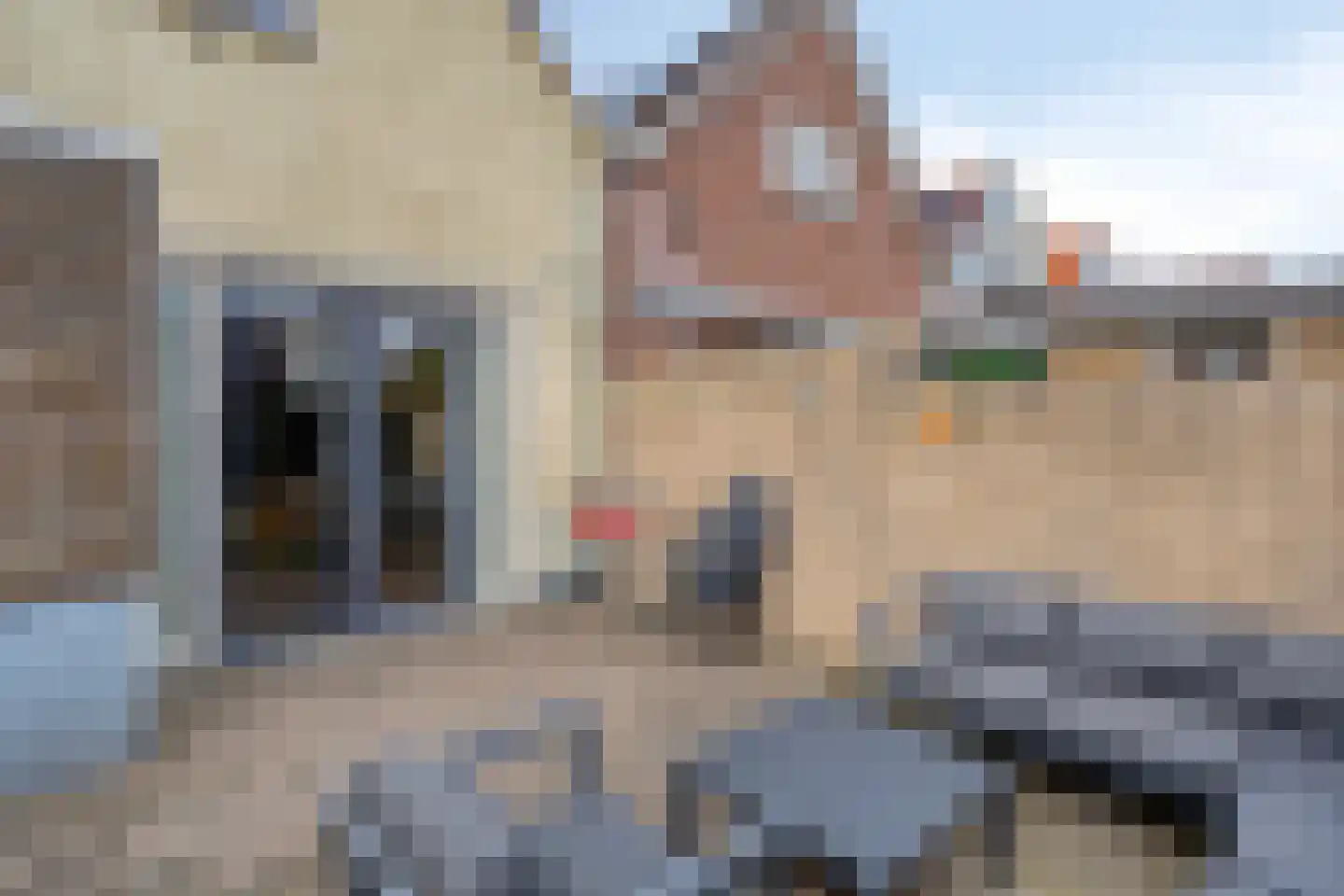 Zuiderstraat 16 Winschoten thumbnail 34