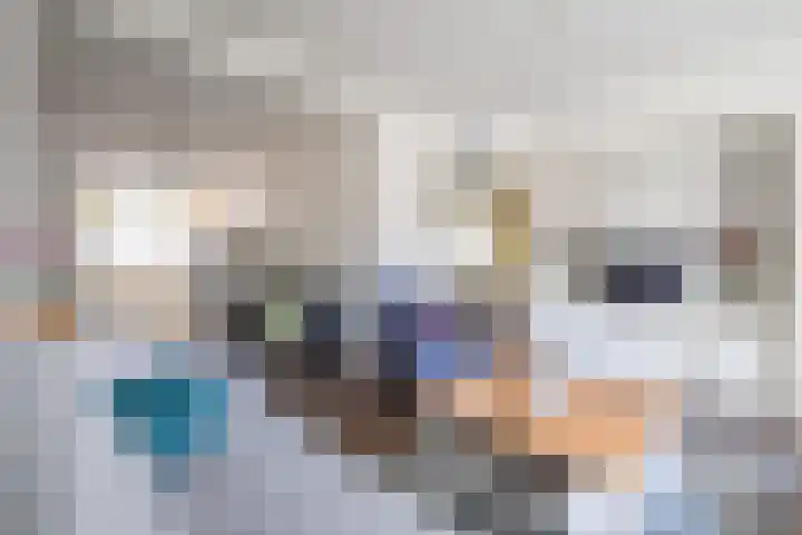 Zuiderstraat 19 Rijssen thumbnail 12