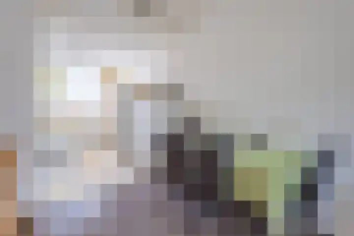 Zuiderstraat 19 Rijssen thumbnail 13