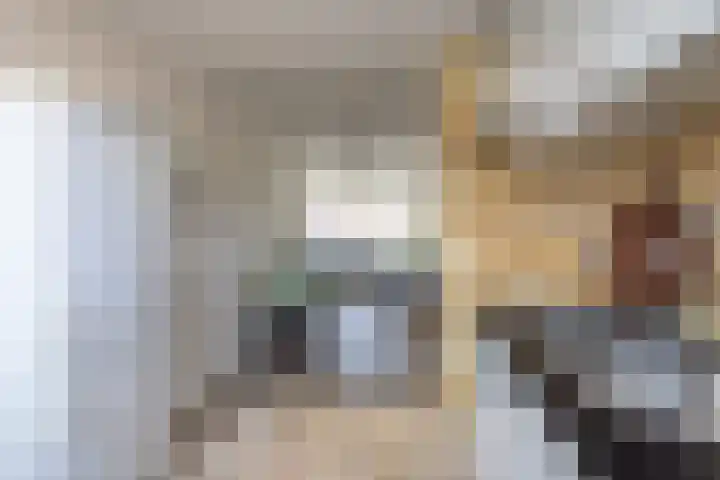 Zuiderstraat 19 Rijssen thumbnail 18