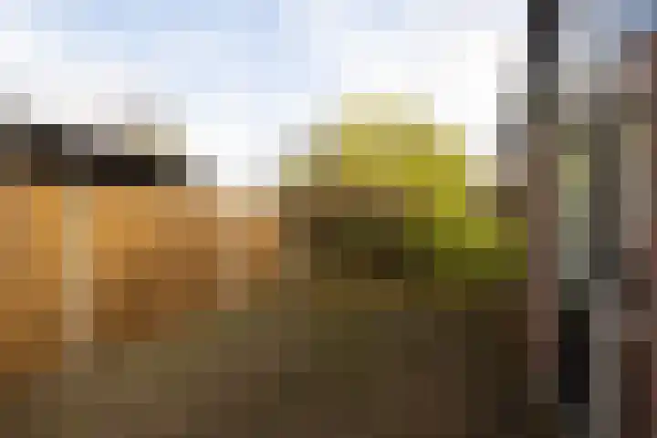 Zuiderstraat 19 Rijssen thumbnail 36