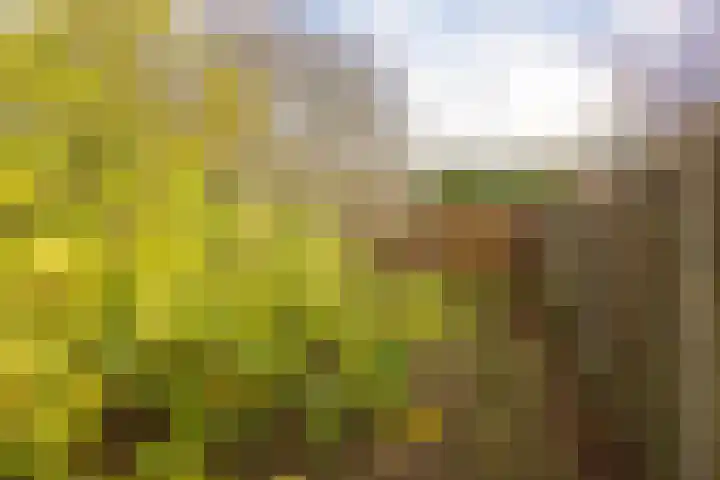 Zuiderstraat 19 Rijssen thumbnail 37