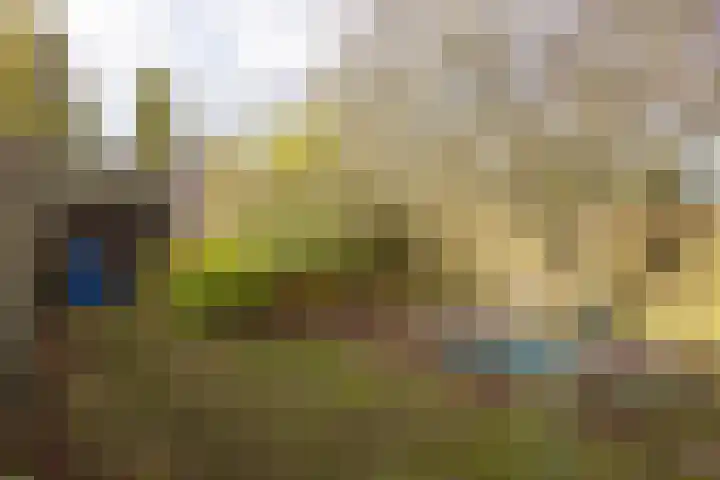 Zuiderstraat 19 Rijssen thumbnail 39