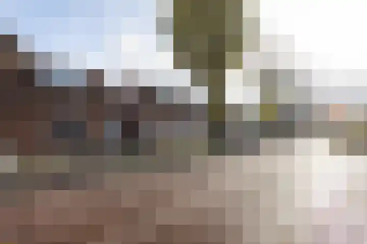 Zuiderstraat 19 Rijssen thumbnail 4