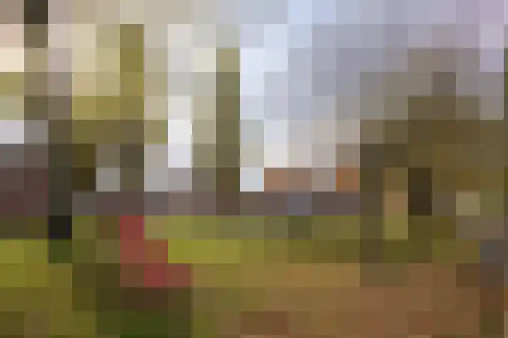 Zuiderstraat 19 Rijssen thumbnail 43