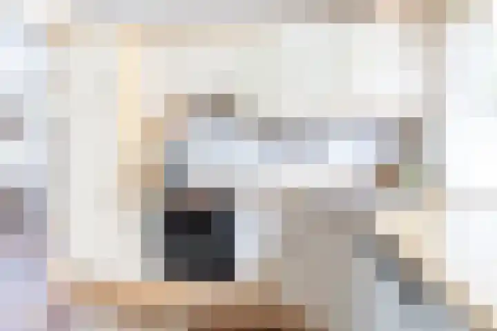 Zuiderstraat 2 Bad Nieuweschans thumbnail 15