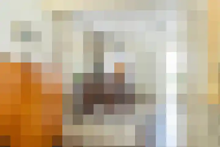 Zuiderstraat 2 Bad Nieuweschans thumbnail 16