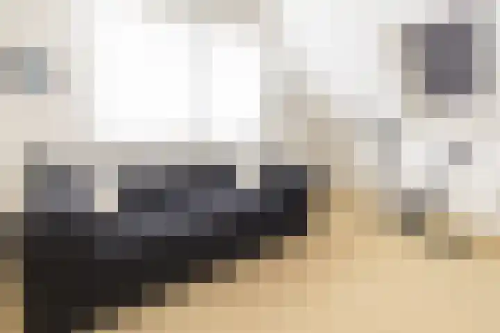 Zuiderstraat 2 Bad Nieuweschans thumbnail 20