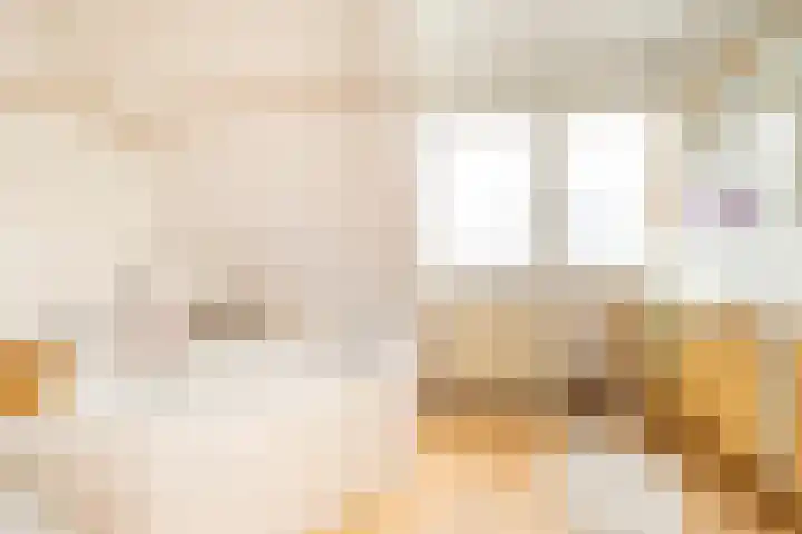 Zuiderstraat 2 Bad Nieuweschans thumbnail 22