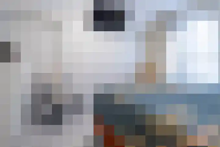Zuiderstraat 2 Bad Nieuweschans thumbnail 27