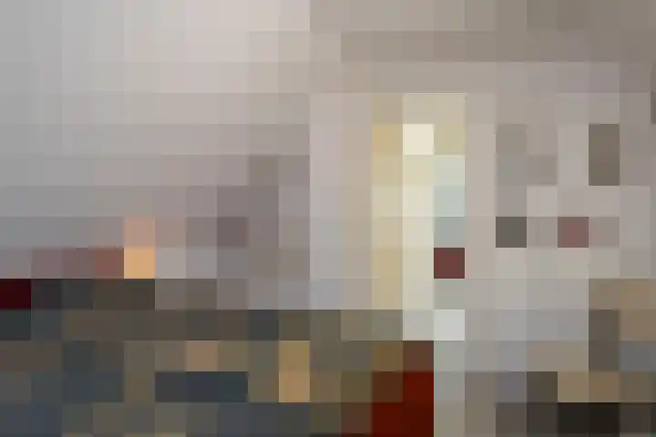 Zuiderstraat 2 Bad Nieuweschans thumbnail 28