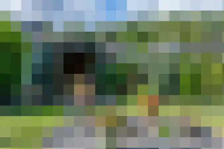 Zuiderstraat 2 Bad Nieuweschans thumbnail 33