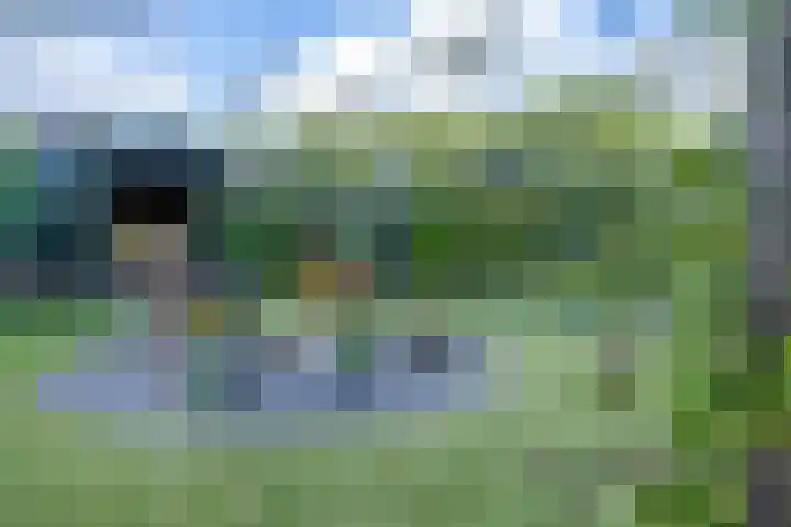 Zuiderstraat 2 Bad Nieuweschans thumbnail 34