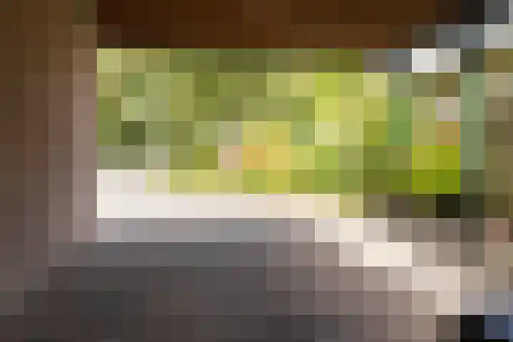 Zuiderstraat 2 Bad Nieuweschans thumbnail 38