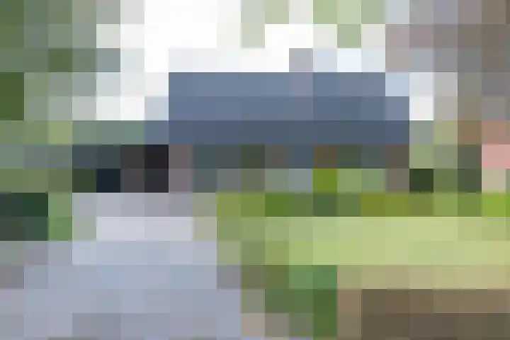 Zuiderstraat 2 Bad Nieuweschans thumbnail 49