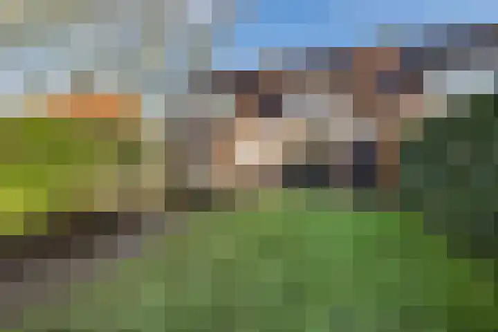 Zuiderstraat 20 Heerenveen thumbnail 5