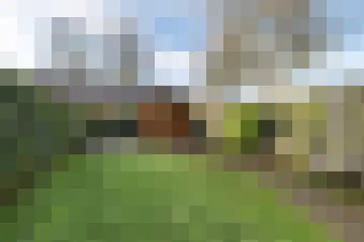 Zuiderstraat 20 Heerenveen thumbnail 6