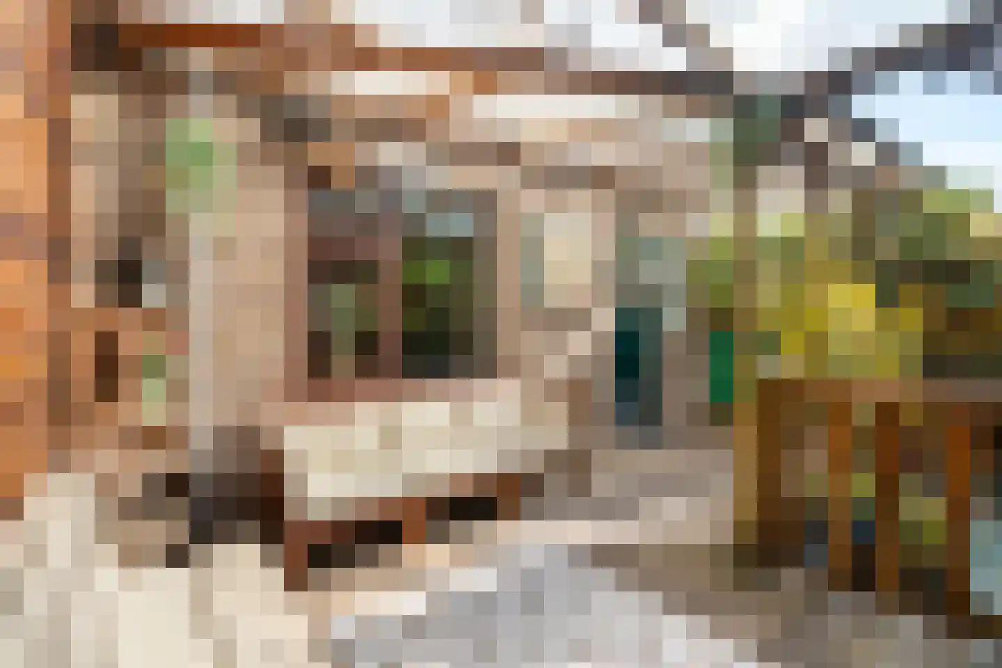 Zuiderstraat 21 Pijnacker thumbnail 10