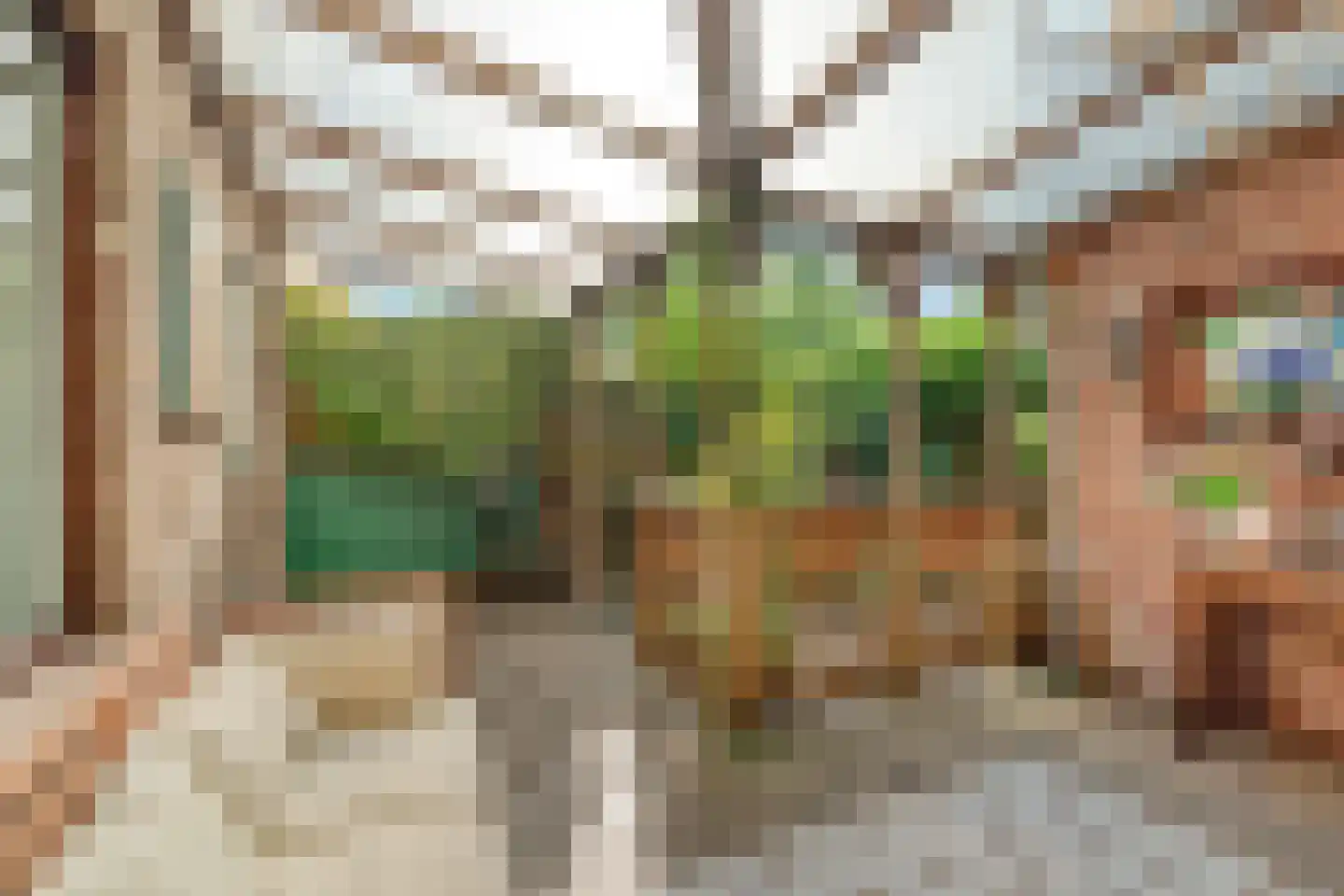 Zuiderstraat 21 Pijnacker thumbnail 12