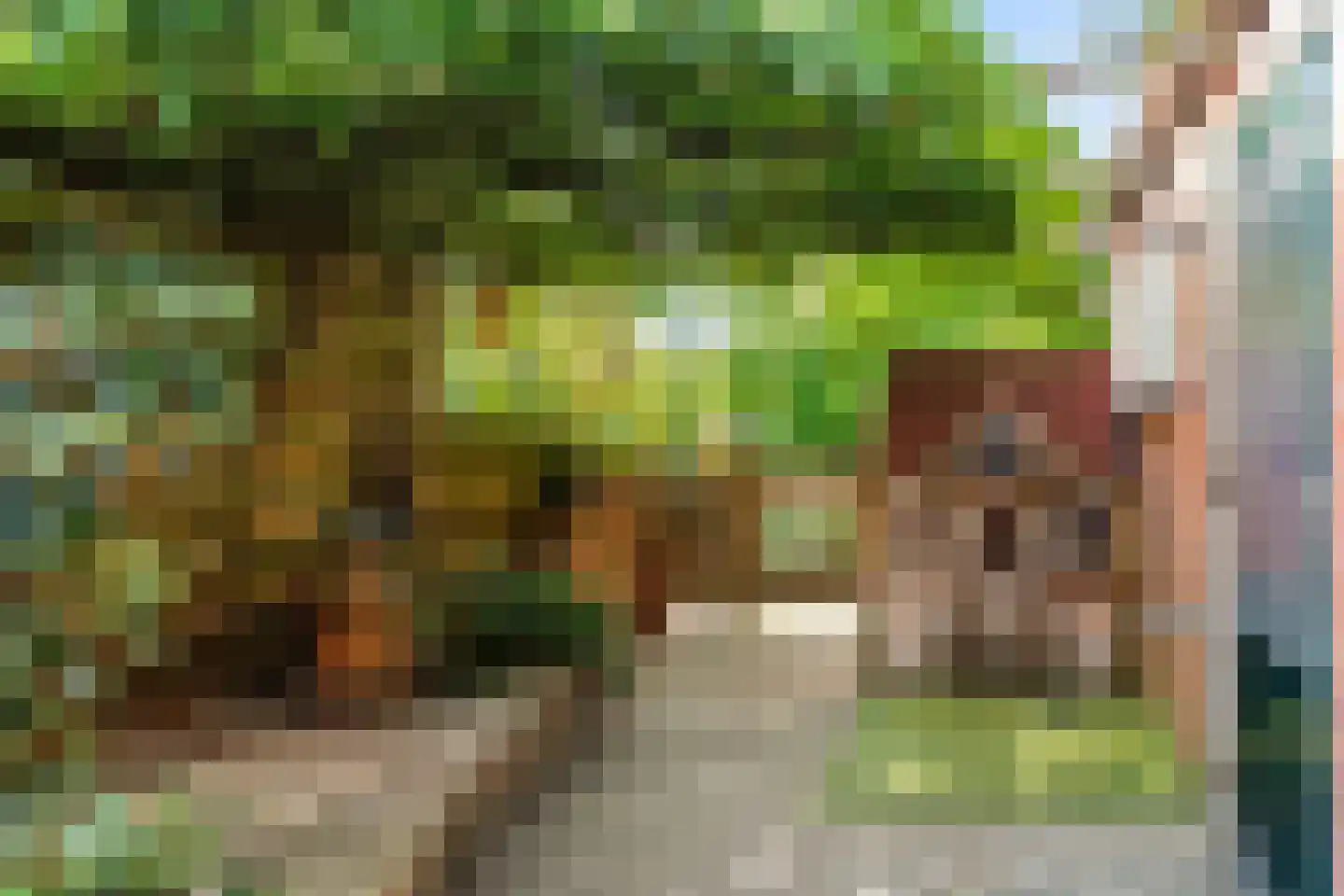Zuiderstraat 21 Pijnacker thumbnail 13
