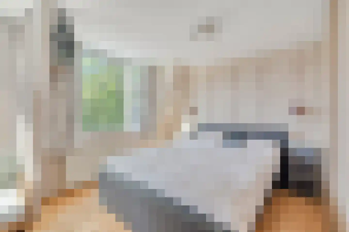 Zuiderstraat 21 Pijnacker thumbnail 18