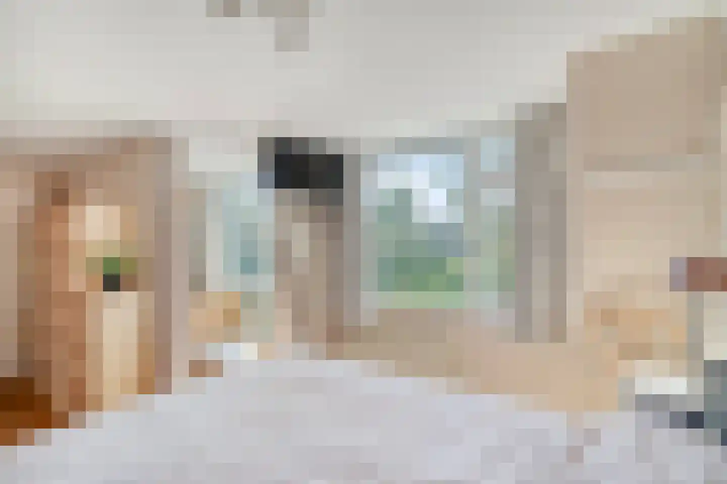 Zuiderstraat 21 Pijnacker thumbnail 19
