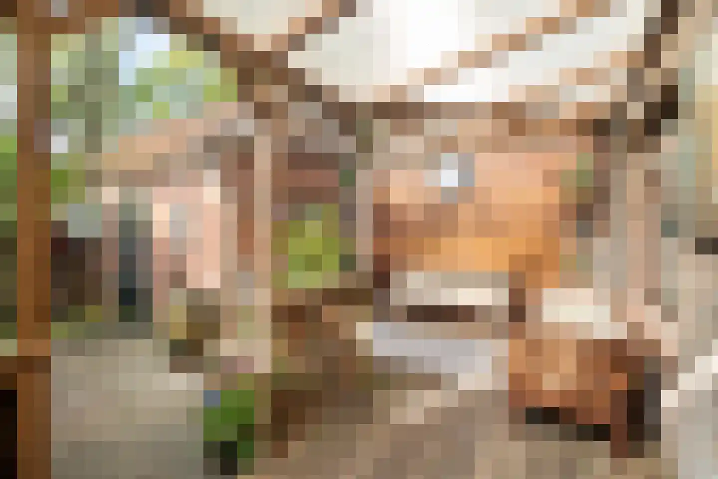 Zuiderstraat 21 Pijnacker thumbnail 4