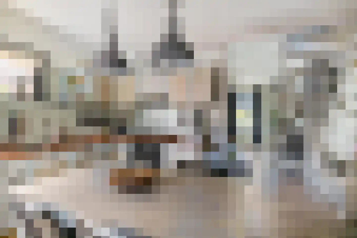 Zuiderstraat 21 Uithuizen thumbnail 13