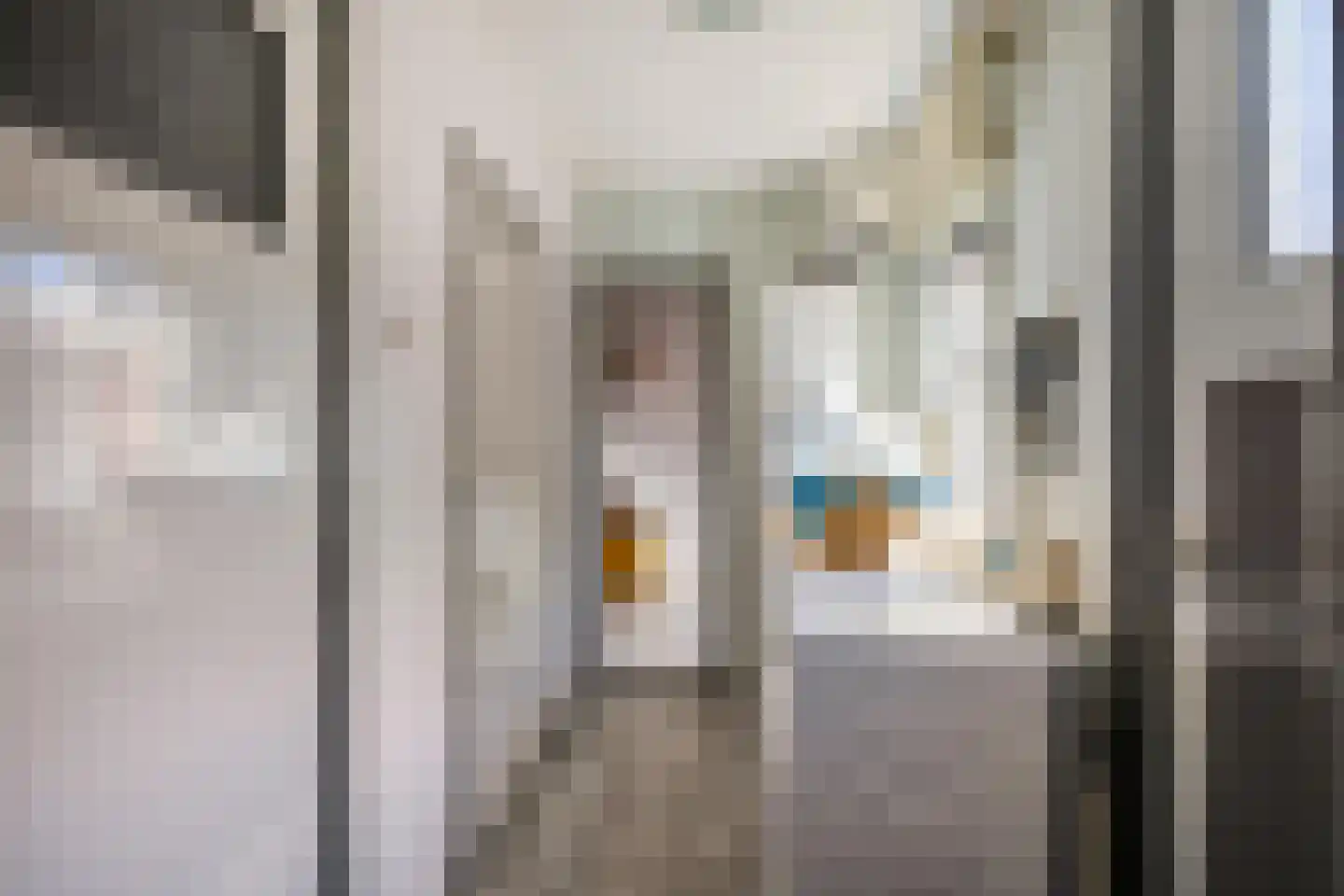 Zuiderstraat 21 Uithuizen thumbnail 15