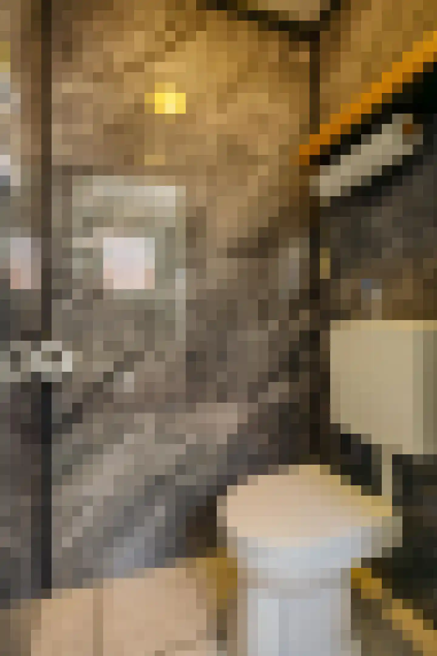 Zuiderstraat 21 Uithuizen thumbnail 20