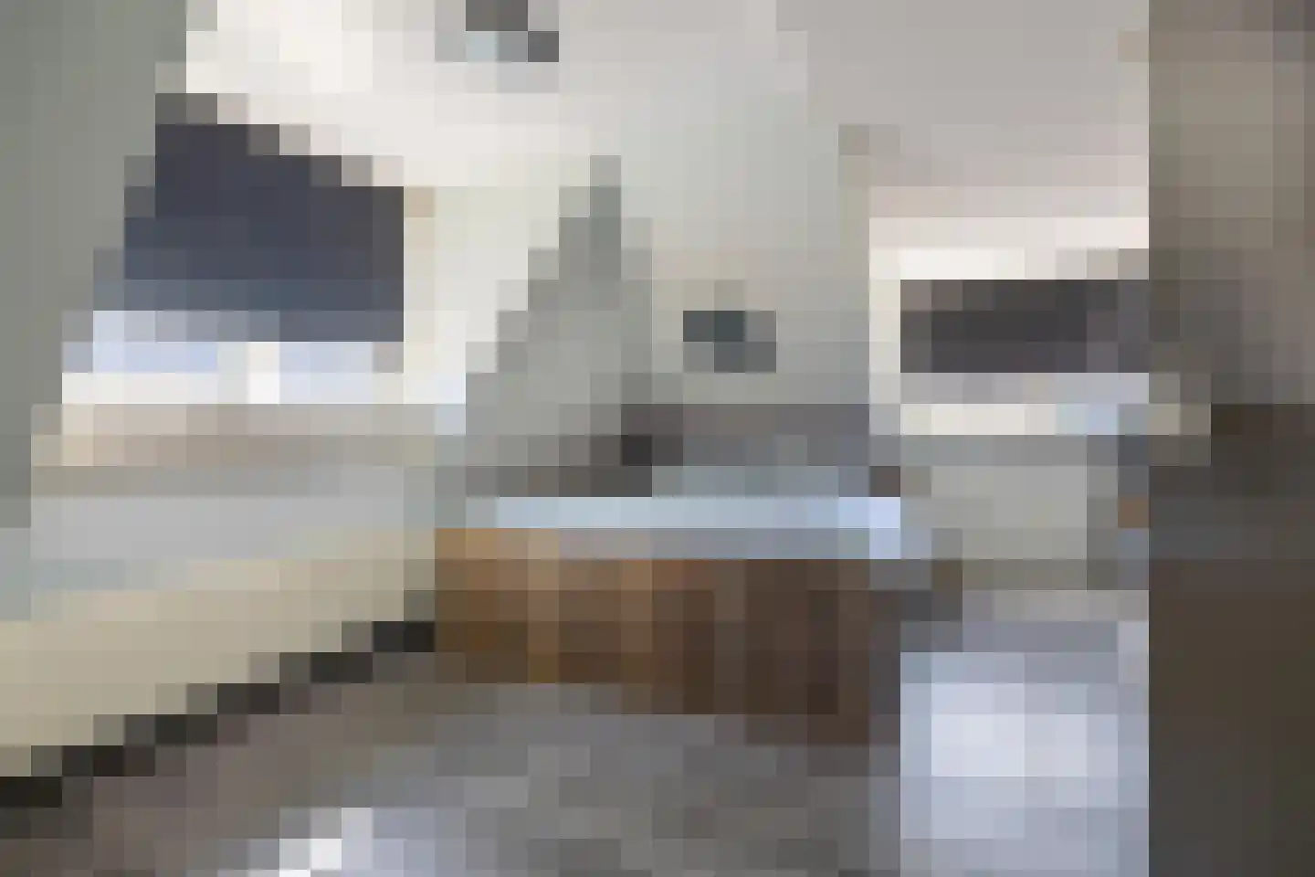 Zuiderstraat 21 Uithuizen thumbnail 21