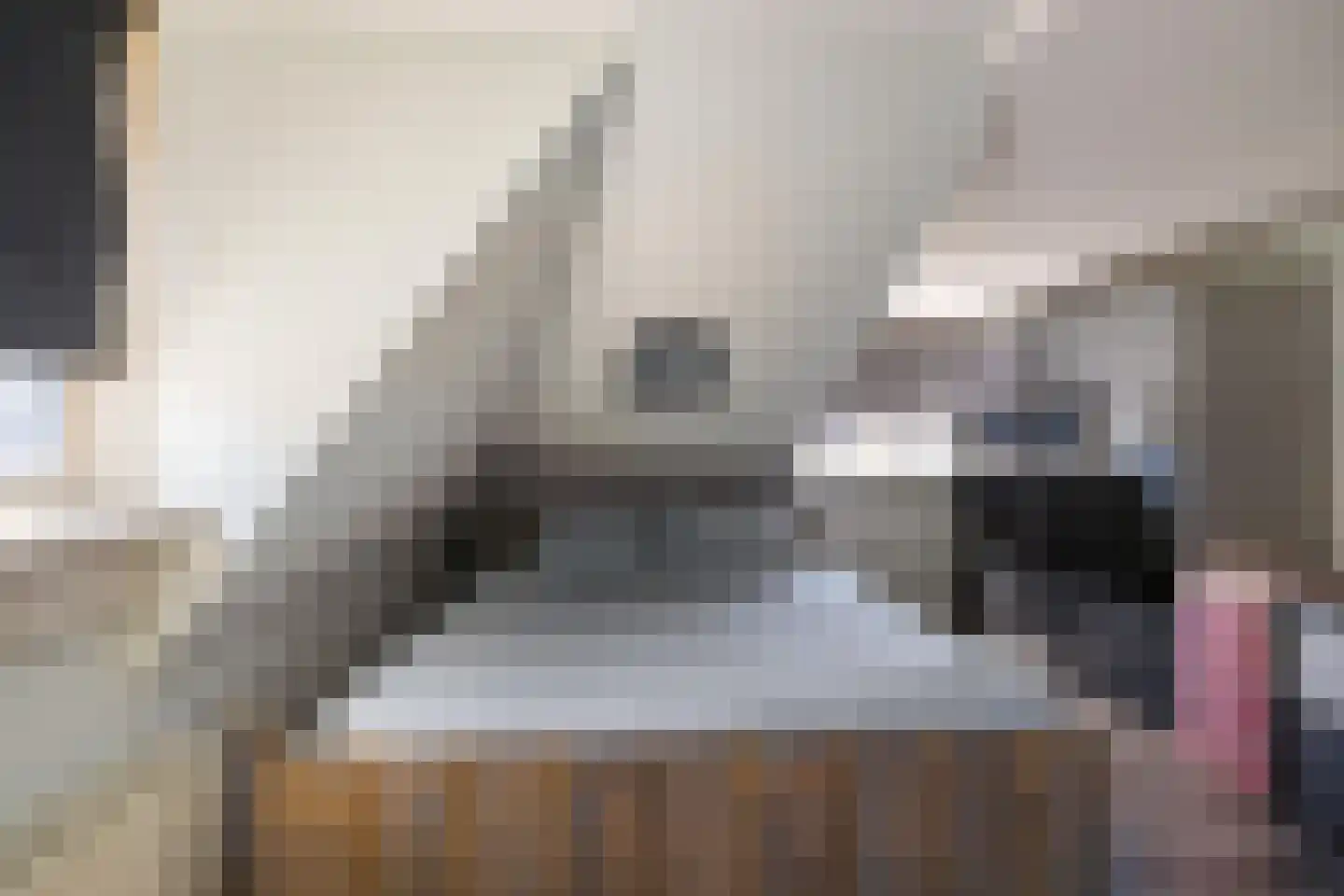 Zuiderstraat 21 Uithuizen thumbnail 22