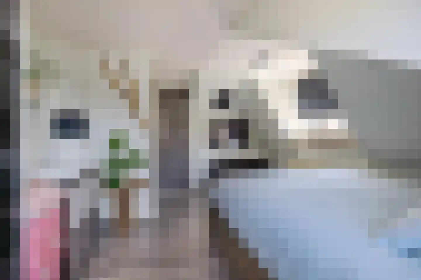 Zuiderstraat 21 Uithuizen thumbnail 24