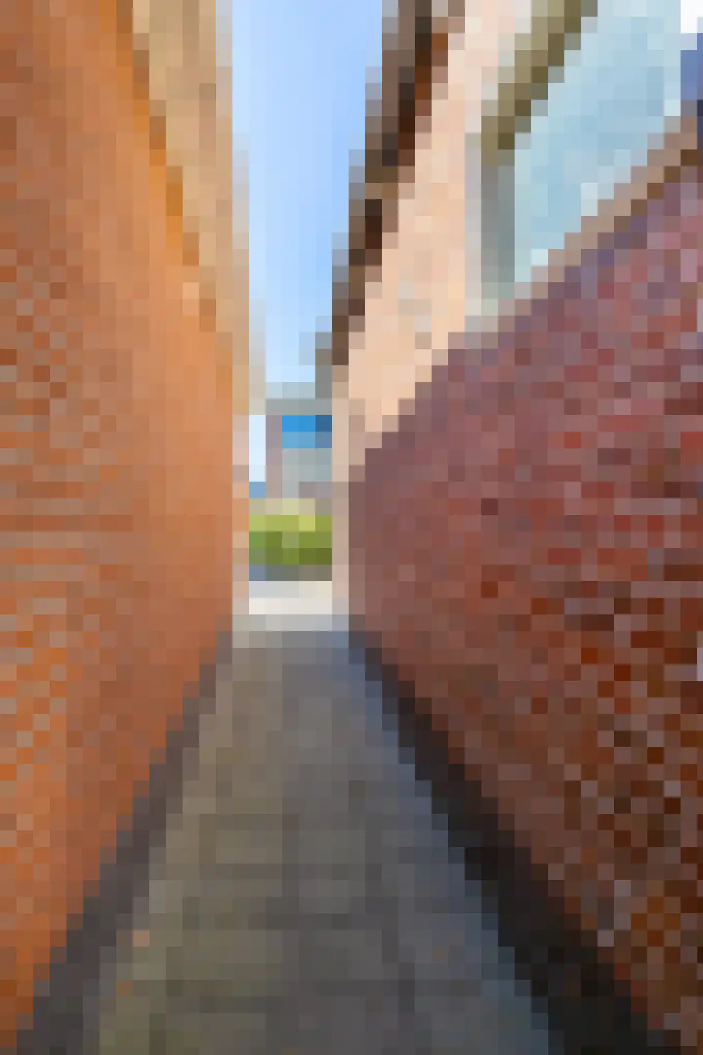 Zuiderstraat 21 Uithuizen thumbnail 29