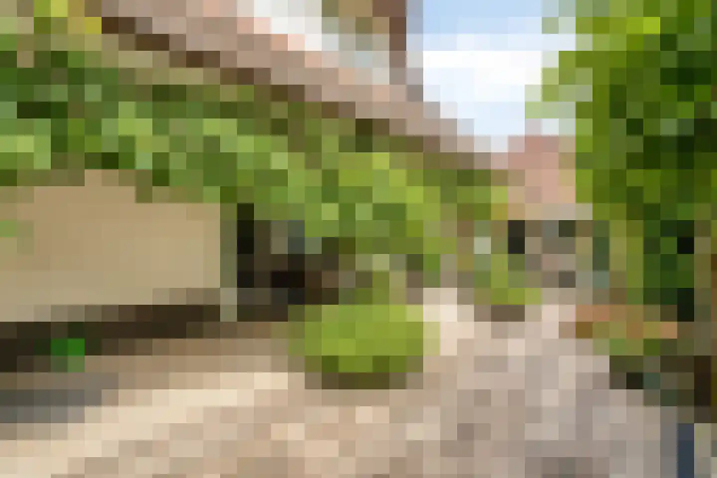 Zuiderstraat 24 Enter thumbnail 35