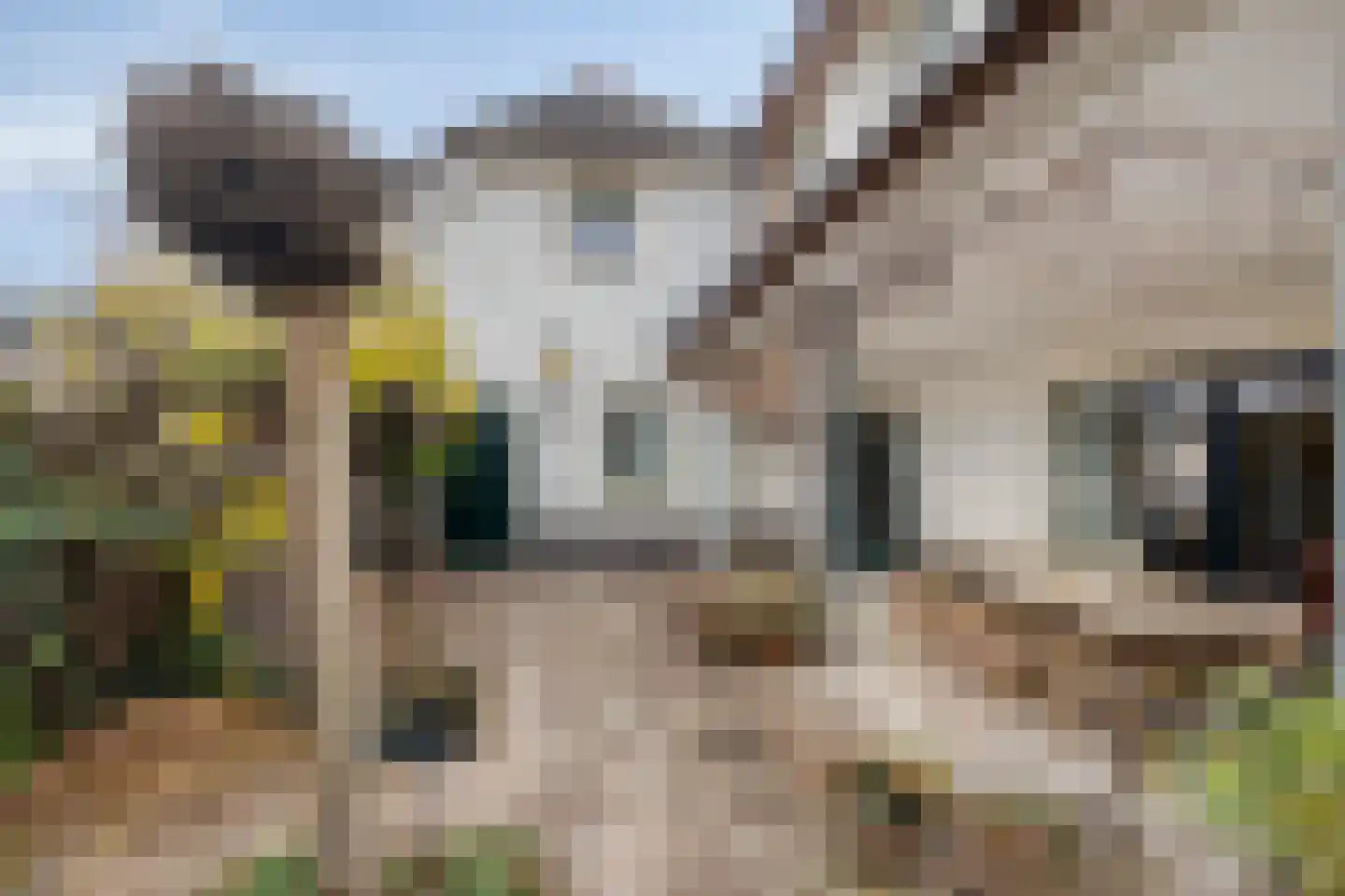 Zuiderstraat 24 Enter thumbnail 38