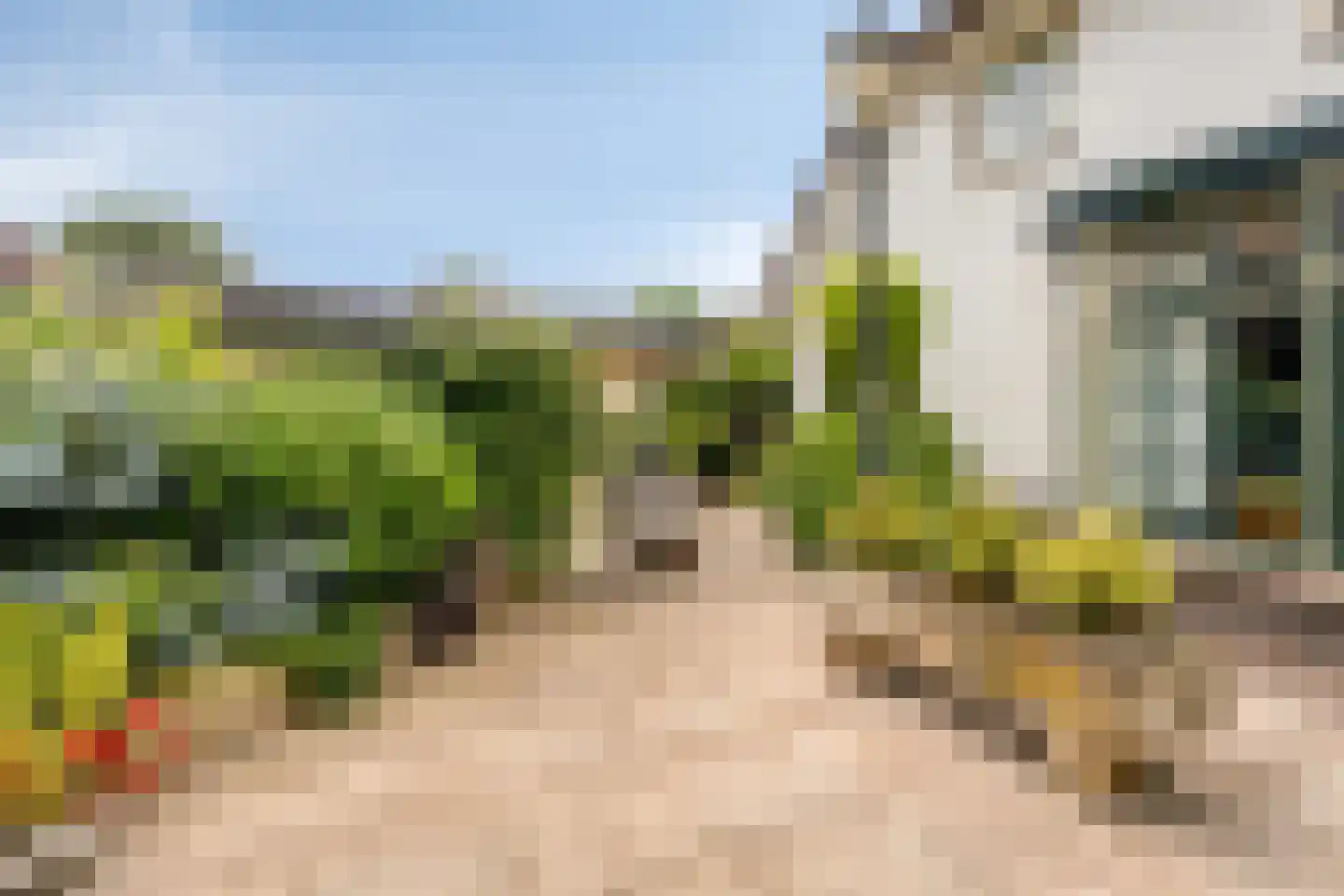 Zuiderstraat 24 Enter thumbnail 43