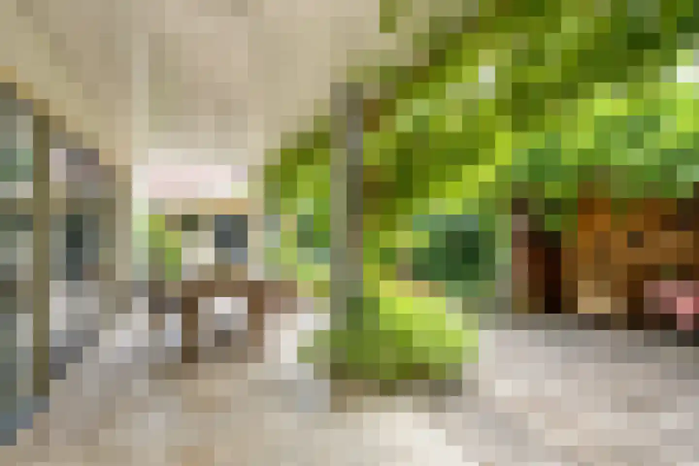 Zuiderstraat 24 Enter thumbnail 6