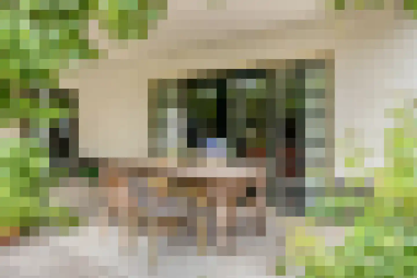 Zuiderstraat 24 Enter thumbnail 7