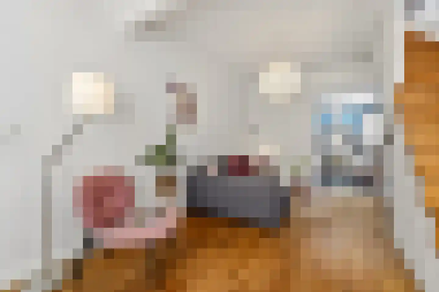 Zuiderstraat 298 Delft thumbnail 9