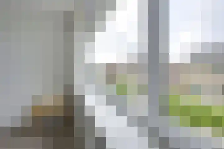 Zuiderstraat 30 Nieuwegein thumbnail 34