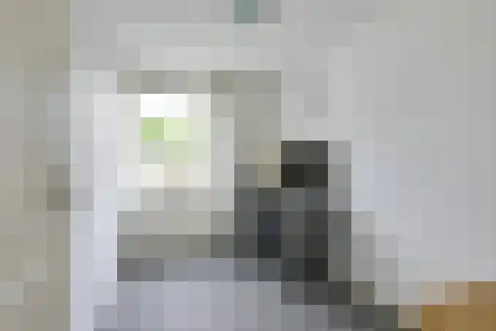 Zuiderstraat 30 Nieuwegein thumbnail 35