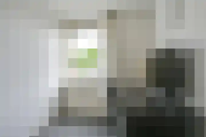 Zuiderstraat 30 Nieuwegein thumbnail 36