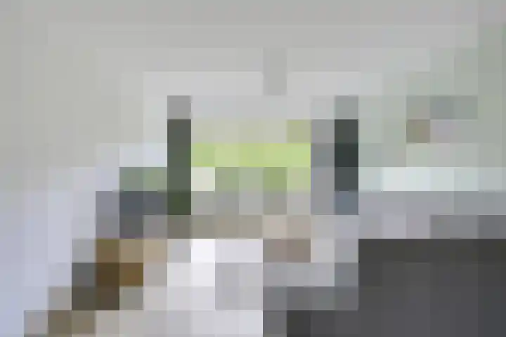 Zuiderstraat 30 Nieuwegein thumbnail 6
