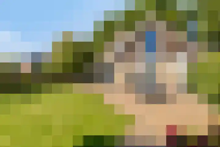 Zuiderstraat 30 Zuidlaren thumbnail 33