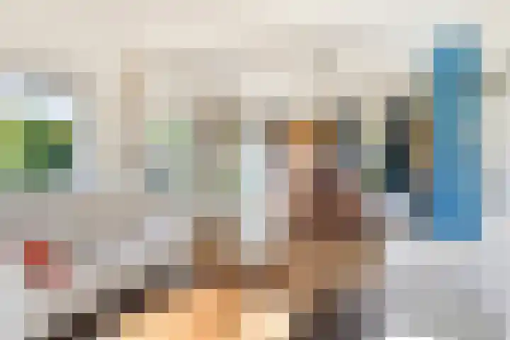 Zuiderstraat 30 Zuidlaren thumbnail 8