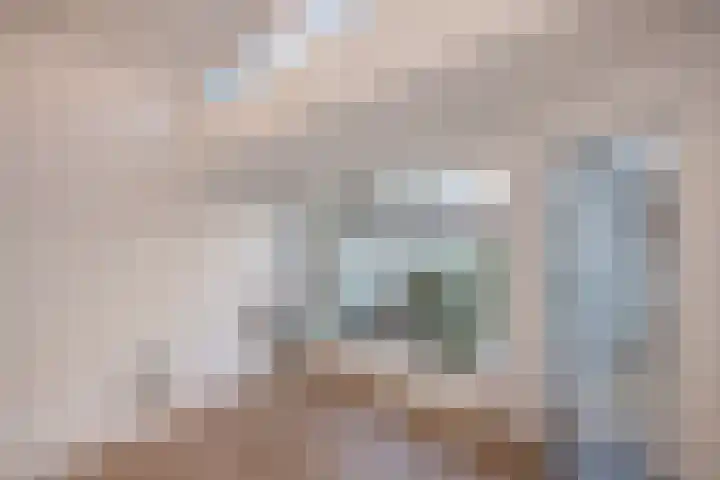 Zuiderstraat 332 Delft thumbnail 9